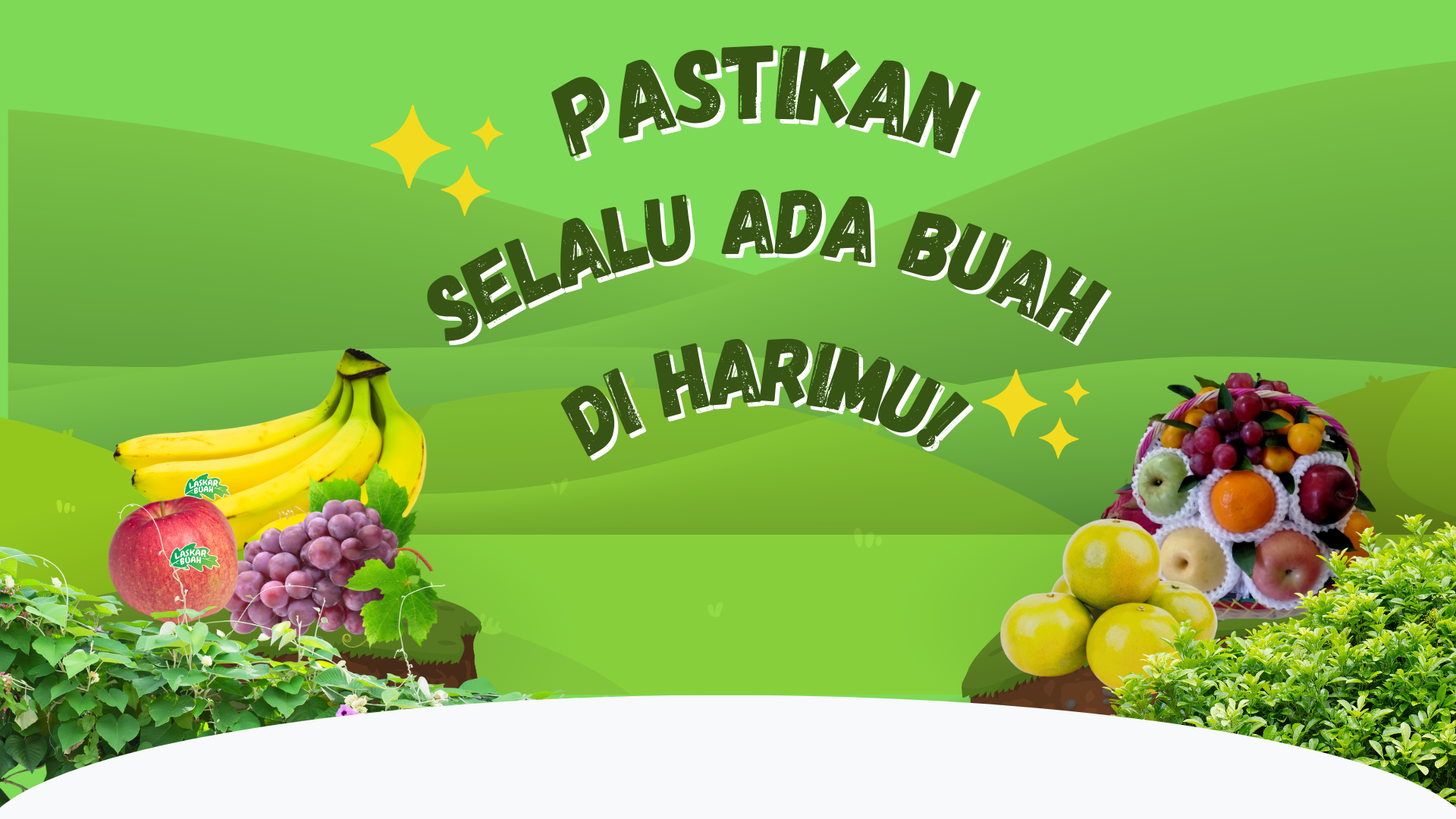 bg-testimonial